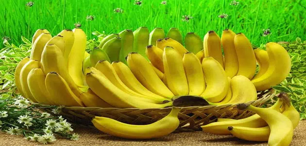 تفسير رؤية الموز في المنام