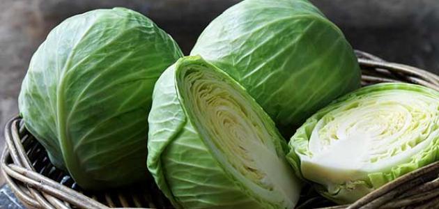 تفسير حلم رؤية الكرنب في المنام