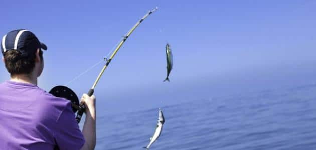 تفسير صيد السمك في المنام للإمام الصادق مفسر