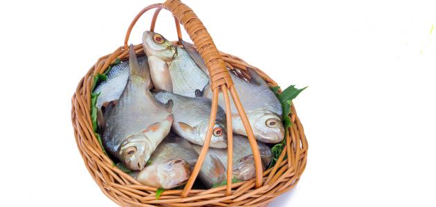 تفسير حلم السمك للحامل