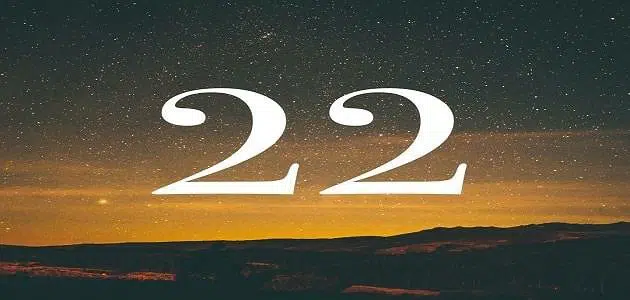 تفسير رؤية رقم 22 في المنام وما الذي يدل عليه رقم 22