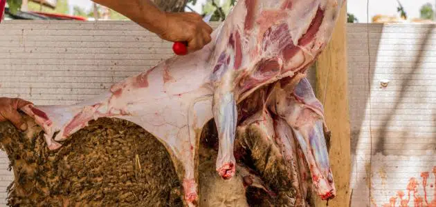 رؤية تقطيع لحم الخروف في المنام