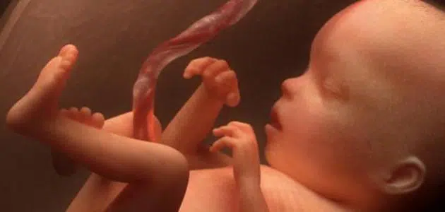 Interpretação de um sonho sobre um feto se movendo no abdômen de uma mulher grávida - intérprete