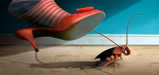 كيف تفسر رؤية قتل الحشرات في المنام؟ - العوامل المؤثرة في تفسير رؤية قتل الحشرات