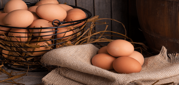 تفسير حلم جمع بيض الدجاج للعزباء