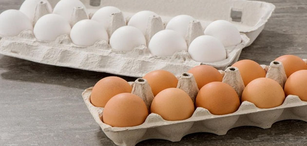 تفسير حلم شراء البيض للعزباء