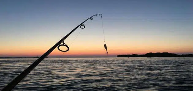 تفسير حلم صيد السمك بالسنارة للعزباء