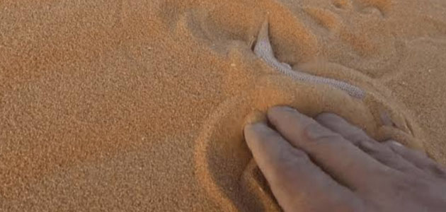 تفسير حلم الرمل المتحرك