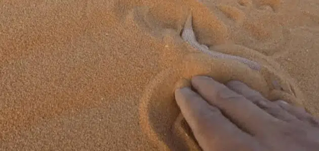 تفسير حلم الرمل المتحرك