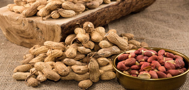 اكل الفول السوداني في المنام