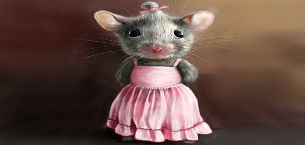 تفسير حلم دخول الفأر في الملابس