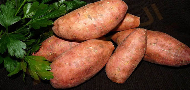 تفسير البطاطا الحلوة في المنام