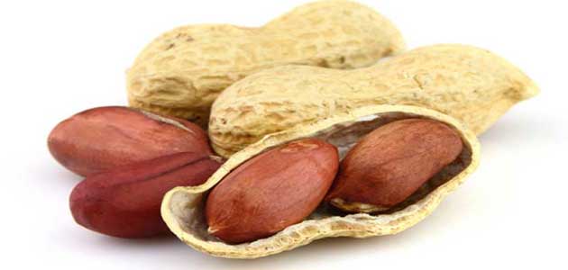 تفسير حلم الفول السوداني للحامل